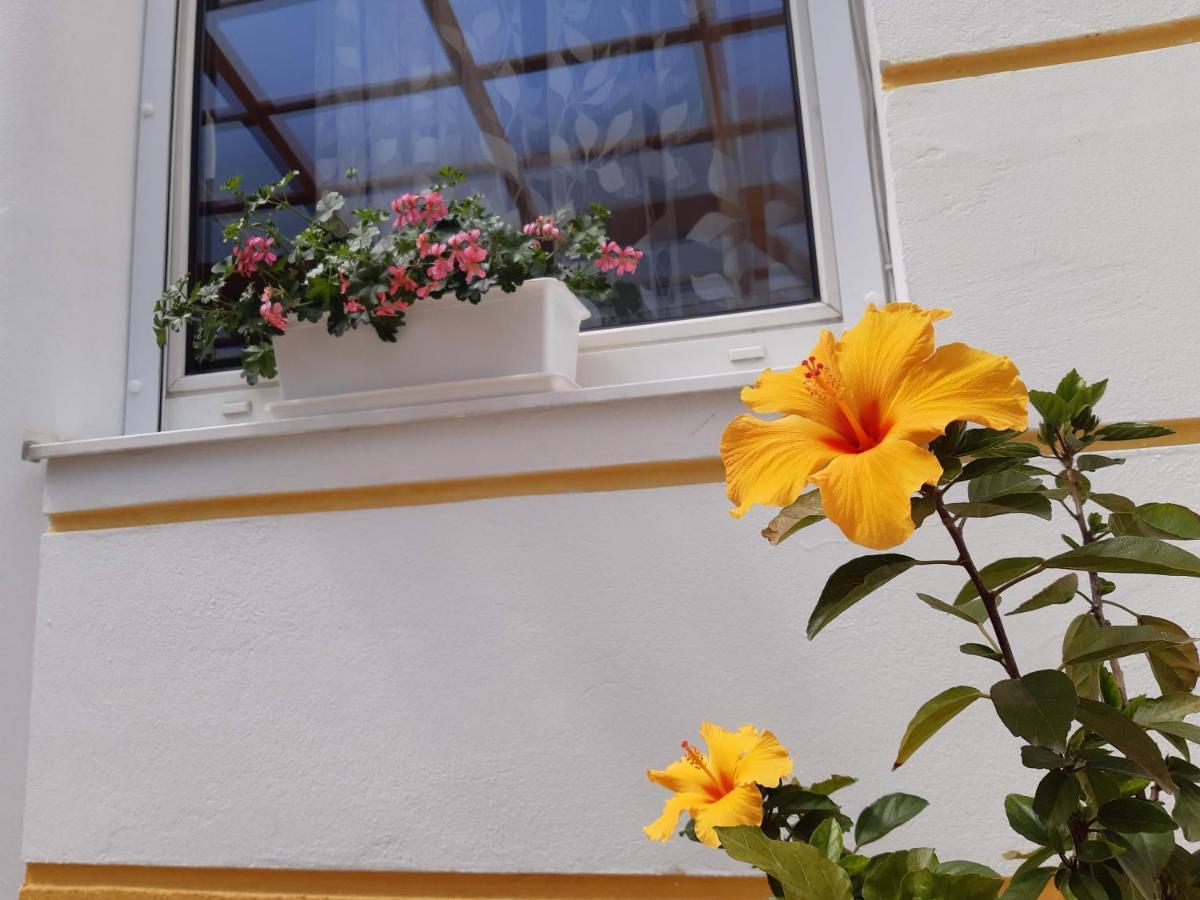 Thermal Garden Mosonmagyarovar Bagian luar foto